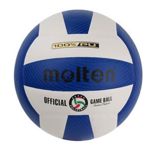 Molten volleyball